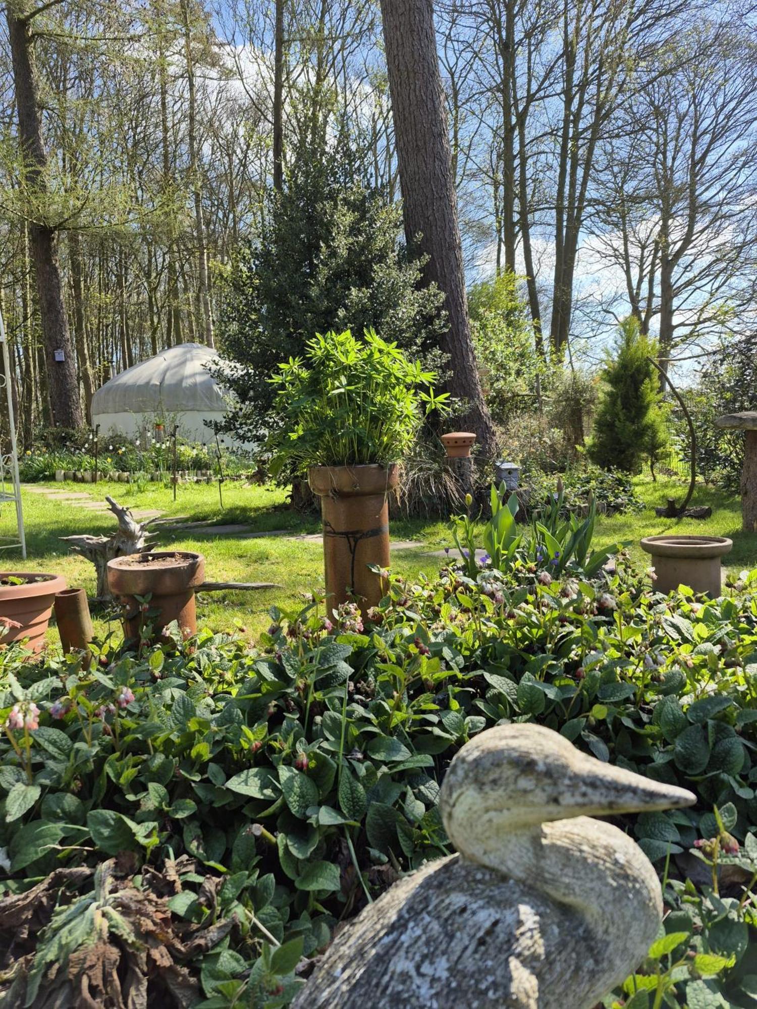 Gingerbread Cottage Yurts Dereham Екстериор снимка